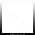 the album cover for James Pants - Savage [Download Included]