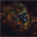 the album cover for Damian Lazarus & Ancient Moons - Message From The Other Side [Digipak]