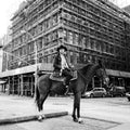 the album cover for Drew Lustman - Crystal Cowboy