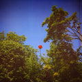 the album cover for Benoit Pioulard - Sonnet