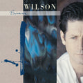 the album cover for Brian Wilson - Brian Wilson