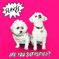 the album cover for Slaves - Are You Satisfied? [Import Vinyl]