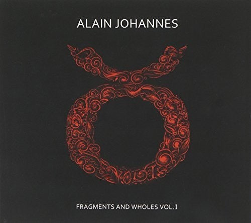 the album cover for Alain Johannes - Fragments and Wholes 1