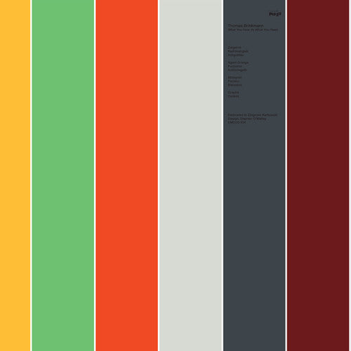 the album cover for Thomas Brinkmann - What You Hear (Is What You Hear)