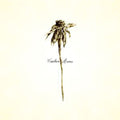 the album cover for Patrick Watson - Wooden Arms [Deluxe Vinyl]
