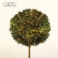 the album cover for Cartel - Cartel (Gol) [180 Gram]