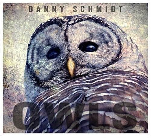 the album cover for Danny Schmidt - Owls