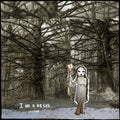 the album cover for Baby Dee - Am a Stick