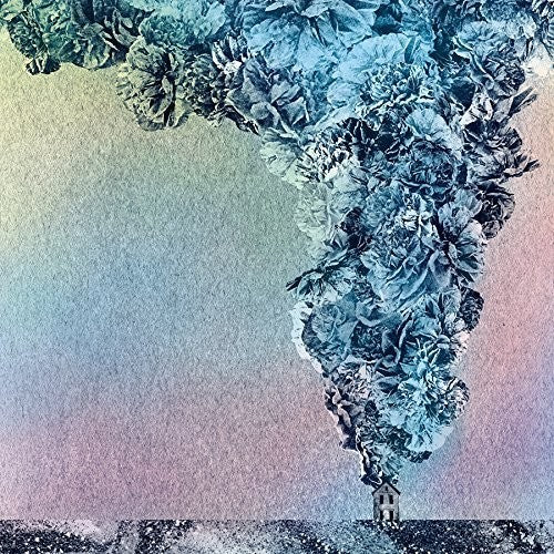 the album cover for Daughn Gibson - Carnation [Vinyl]