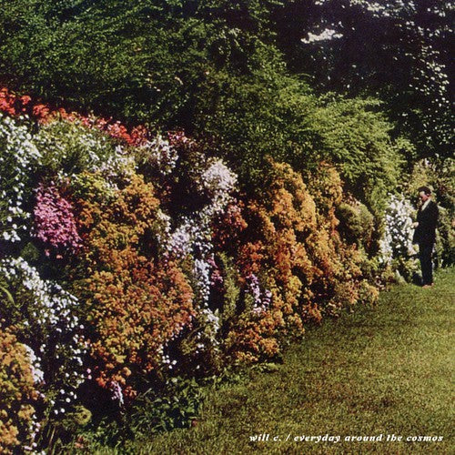 the album cover for Will C - Everyday Around the Cosmos