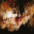 the album cover for Shining - IX / Everyone Everything Everywhere Ends [Import]