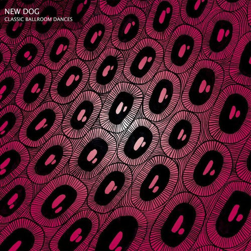the album cover for New Dog - Classic Ballroom Dances
