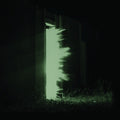 the album cover for Fink - Horizontalism