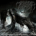 the album cover for Coathanger Abortion - Observations of Humanity