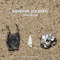 the album cover for Dominik Eulberg - Spulsaum