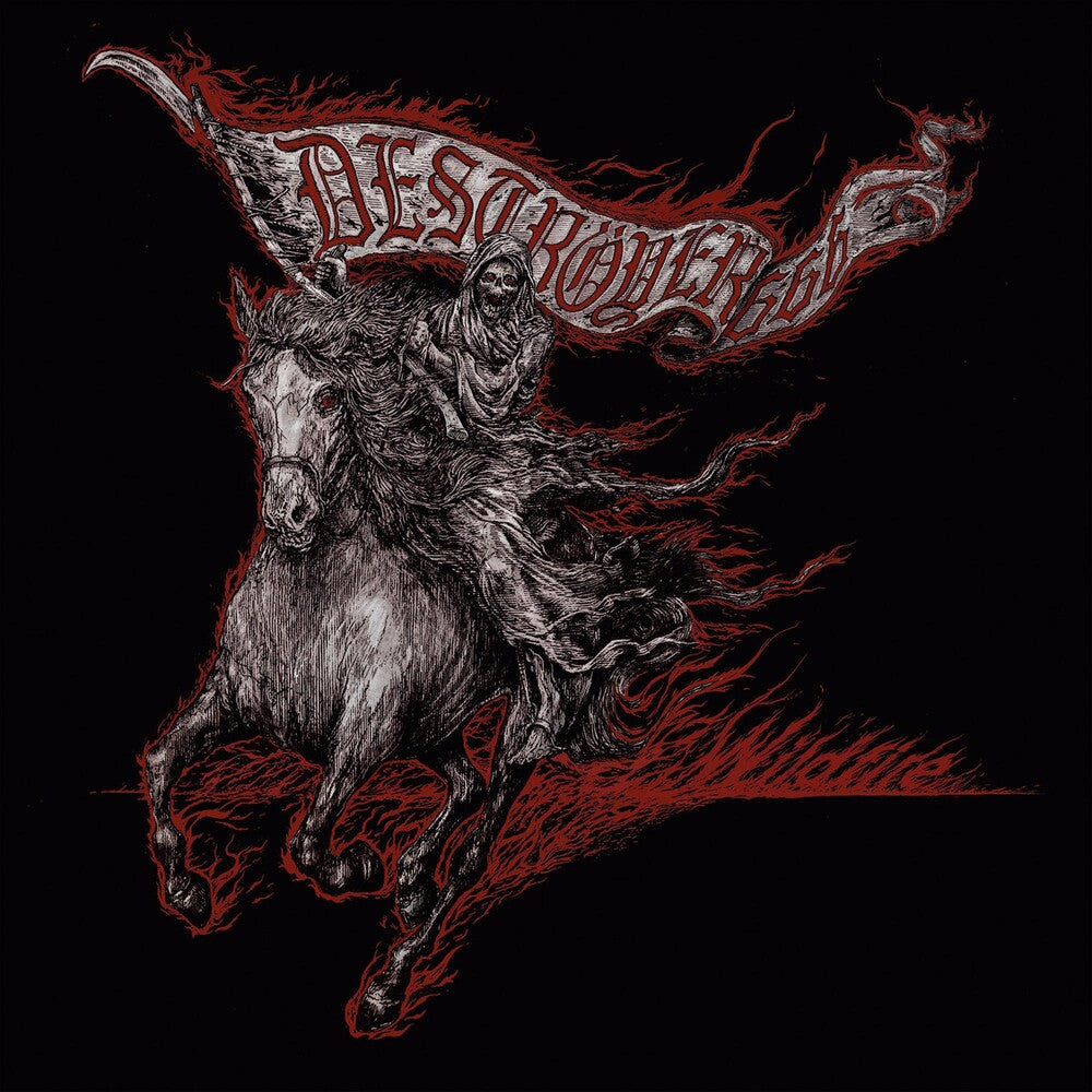 the album cover for Destroyer 666 - Wildfire [Vinyl]