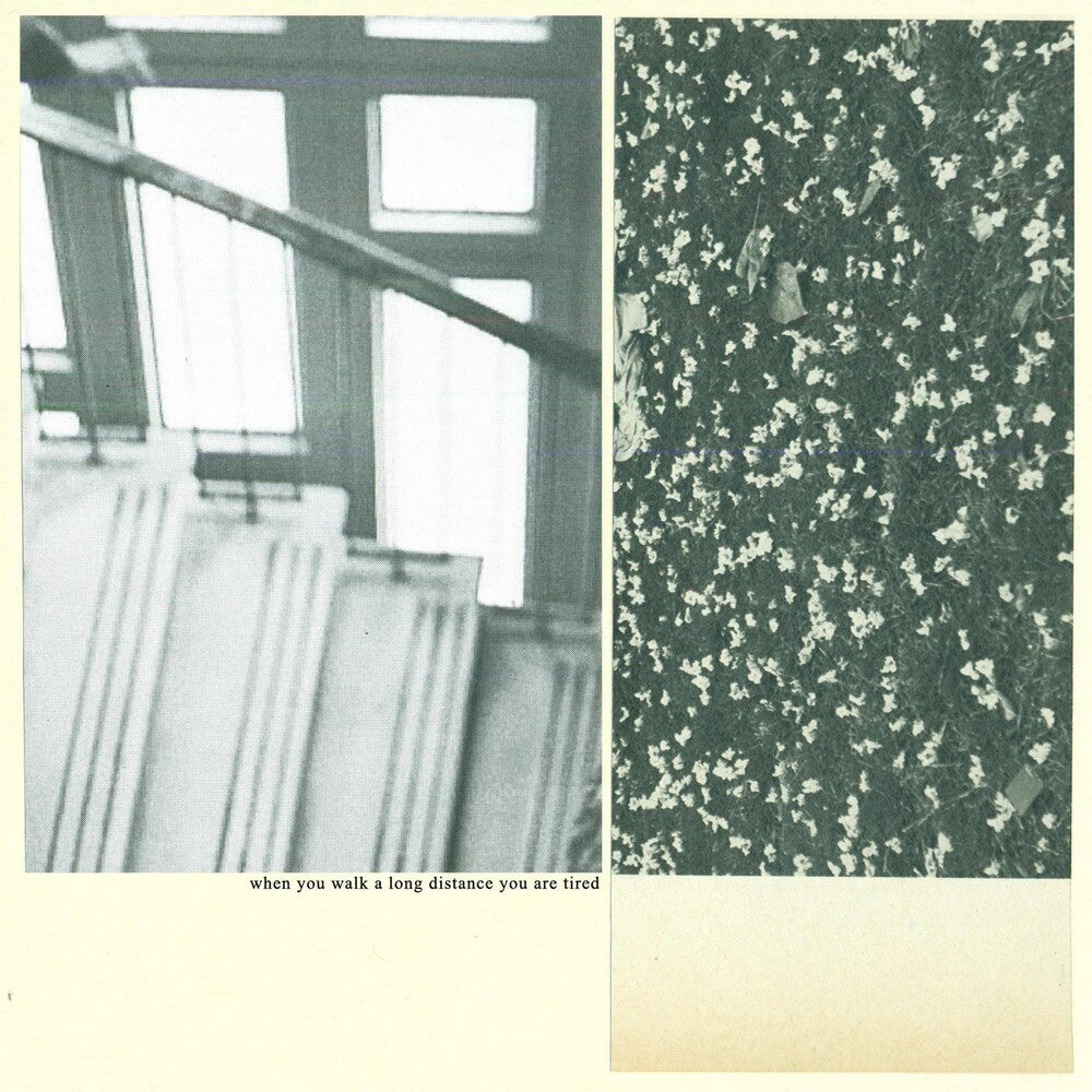 the album cover for Mothers - When You Walk a Long Distance You Are Tired