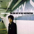 the album cover for Jesse Malin - Fine Art Of Self-Destruction [Vinyl]