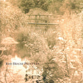 the album cover for Red House Painters - Red House Painters (The Bridge) [Vinyl]