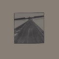 the album cover for Red House Painters - Ocean Beach / Shock Me [Vinyl]