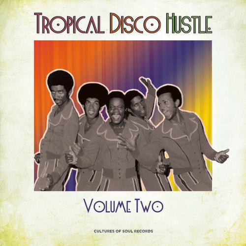 the album cover for Tropical Disco Hustle 2 / Various - Tropical Disco Hustle 2