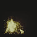 the album cover for Wolf Alice - My Love Is Cool [Vinyl]