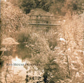 the album cover for Red House Painters - Red House Painters 2