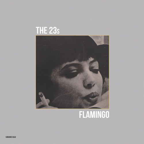 the album cover for 23s - Flamingo