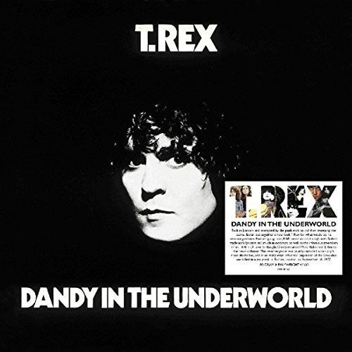 the album cover for T. Rex - Dandy In The Underworld [Import LP]