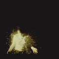 the album cover for Wolf Alice - My Love Is Cool [Import Vinyl]