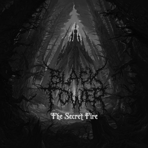 the album cover for Black Tower - Secret Fire