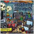 the album cover for Slightly Stoopid - Meanwhile...Back in the Lab [Indie Exclusive Vinyl w/Slipmat]
