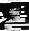 the album cover for Albert Hammond, Jr. - Momentary Masters [LP]