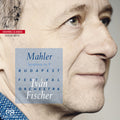 the album cover for G Mahler / Budapest Festival Orch / Fischer,Ivan - Symphony No.9