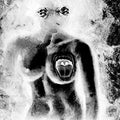 the album cover for Ennio Morricone - Spasmo (The X-Ray Version)