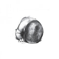 the album cover for Liquid Idiot / Idiot Orchestra - Liquid Idiot / Idiot Orchestra
