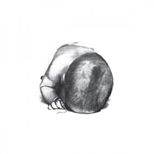 the album cover for Liquid Idiot / Idiot Orchestra - Liquid Idiot / Idiot Orchestra