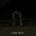 the album cover for Sun Araw - Gazebo Effect