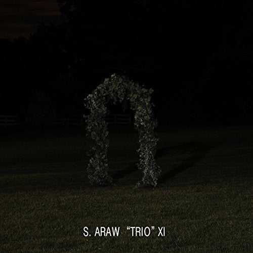 the album cover for Sun Araw - Gazebo Effect