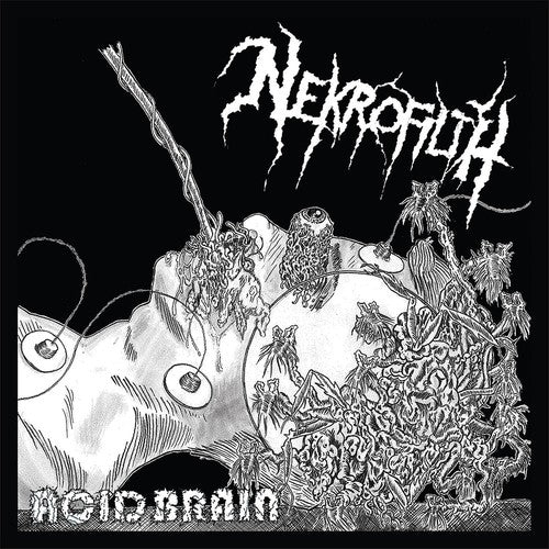 the album cover for Nekrofilth - Acid Brain