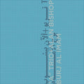 the album cover for A Trio & Alan Bishop - Burj Al Imam