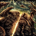 the album cover for Dysentery - Fragments
