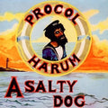the album cover for Procol Harum - Salty Dog [Import]