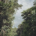 the album cover for Zac Nelson - New Once