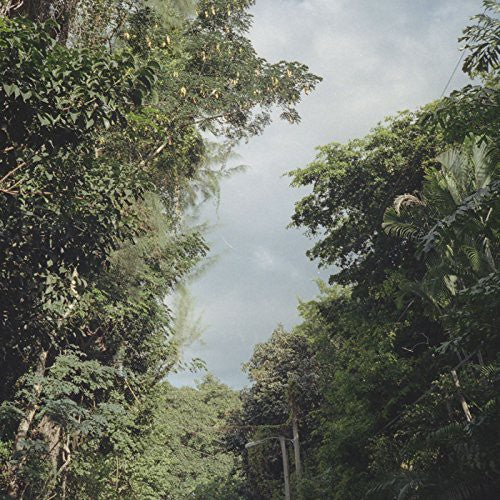 the album cover for Zac Nelson - New Once