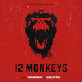 the album cover for Twelve Monkeys [Movie] - 12 Monkeys (Original Soundtrack)