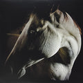 the album cover for Brother Dege - How to Kill a Horse