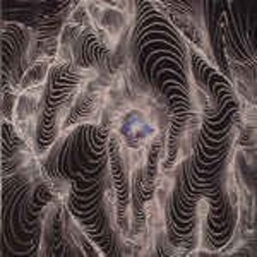 the album cover for Dahga Bloom - No Curtains