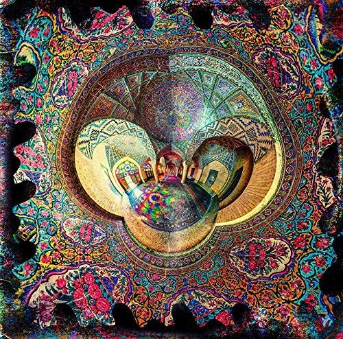 the album cover for Vinyl Williams - Into [Vinyl]