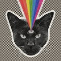 the album cover for Never Shout Never - Black Cat